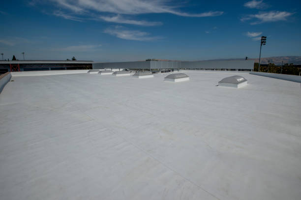 Best Storm Damage Roof Repair  in Forest Park, OH