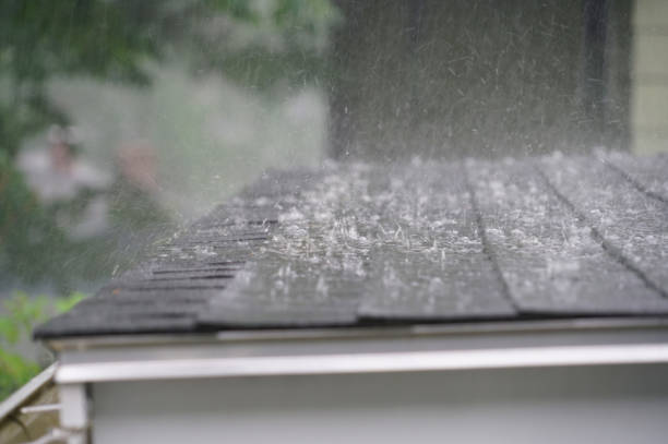 Best Metal Roofing Installation  in Forest Park, OH