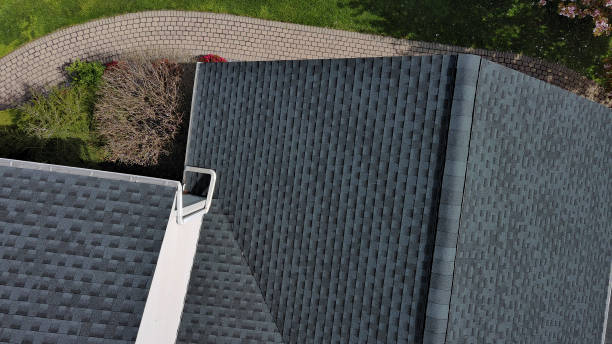 Best Skylight Installation and Repair  in Forest Park, OH